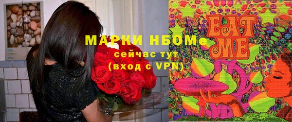 прущие грибы Алзамай