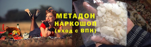 прущие грибы Алзамай