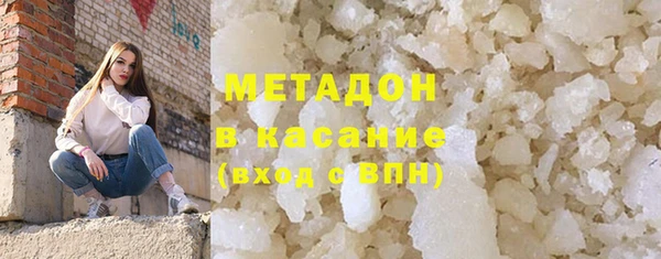 прущие грибы Алзамай