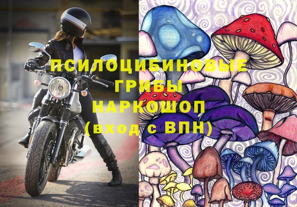 прущие грибы Алзамай